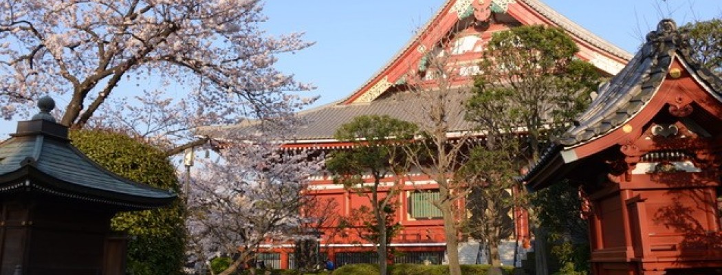 SONJA SALOBIR LINDSAY: JAPONSKA