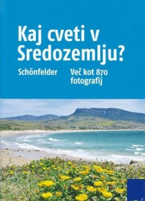 KAJ CVETI V SREDOZEMLJU