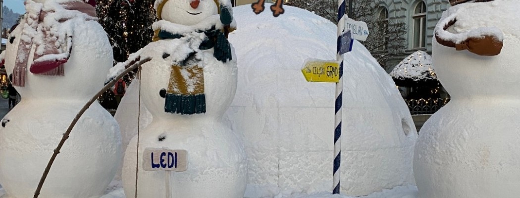 MIŠKO KNJIŽNO NA SEVERNEM POLU