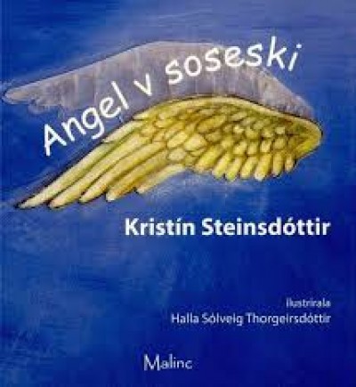 Angel v soseski