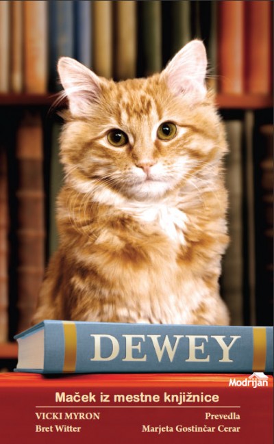 Dewey: maček iz mestne knjižnice