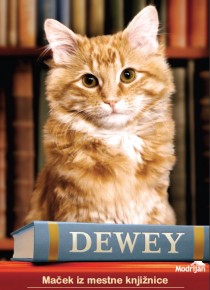 Dewey: maček iz mestne knjižnice