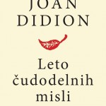 Leto čudodelnih misli