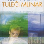 Tuleči mlinar